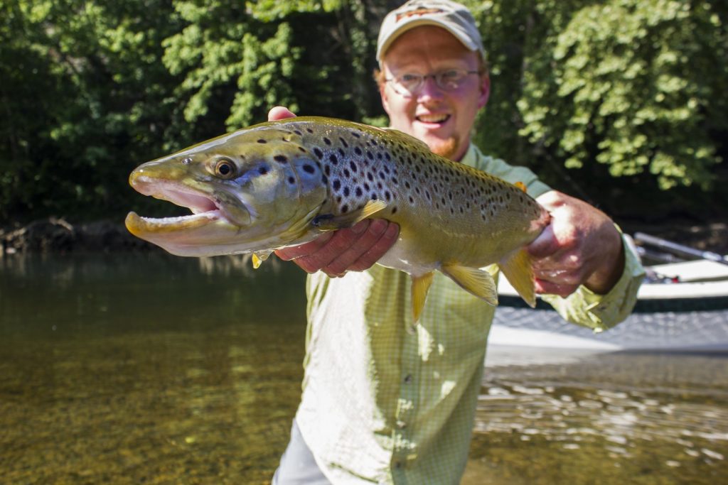 A big Caney Fork River brown trout for fly fishing guide David Knapp of Trout Zone Anglers