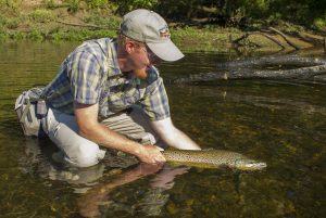 A big brown trout on the Caney Fork River caught by David Knapp